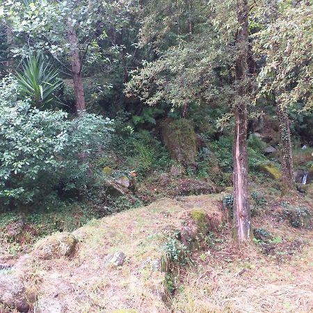 Casa Abrigo Do Lagar Villa Amares Kültér fotó