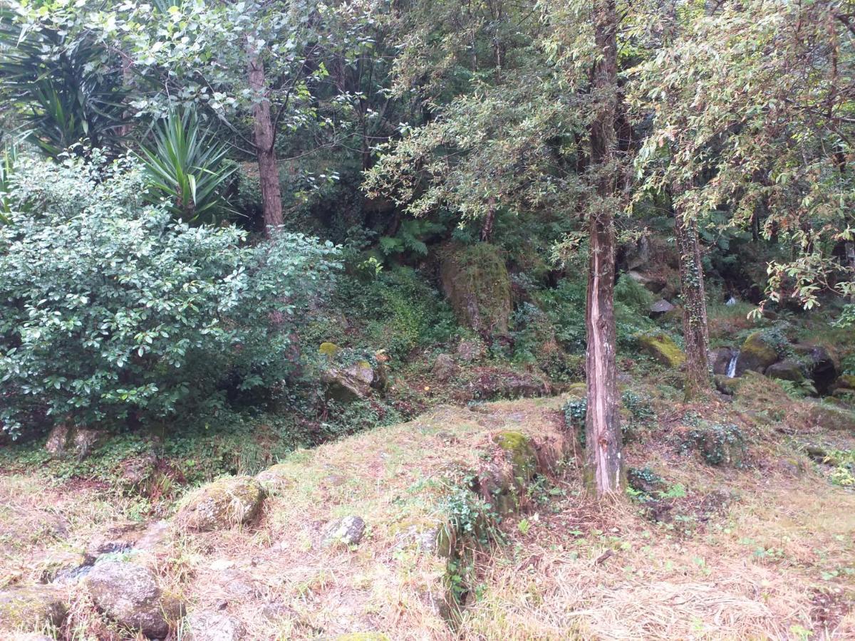 Casa Abrigo Do Lagar Villa Amares Kültér fotó